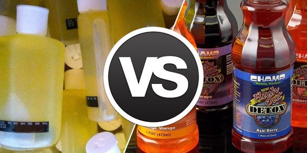 Synthetic Urine Cleaner 
      Kit Mill Point Riverview FL